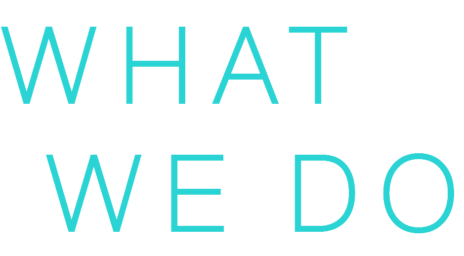 WHAT WE DO